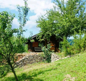 Cabana in Bucovina